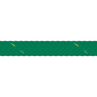 Liros Seastar Color - 5 mm Arbeitsseil - Meterware - grün